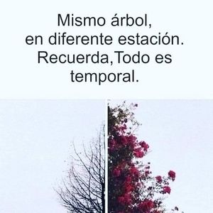 Meet your Posher, Francisca